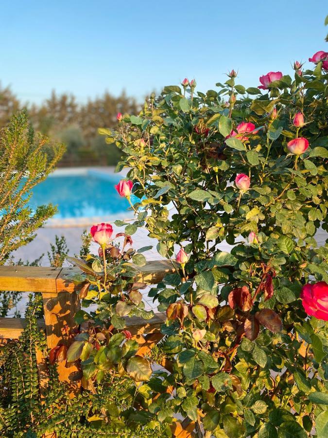 Agriturismo Le Giare Bagno Roselle Exterior foto