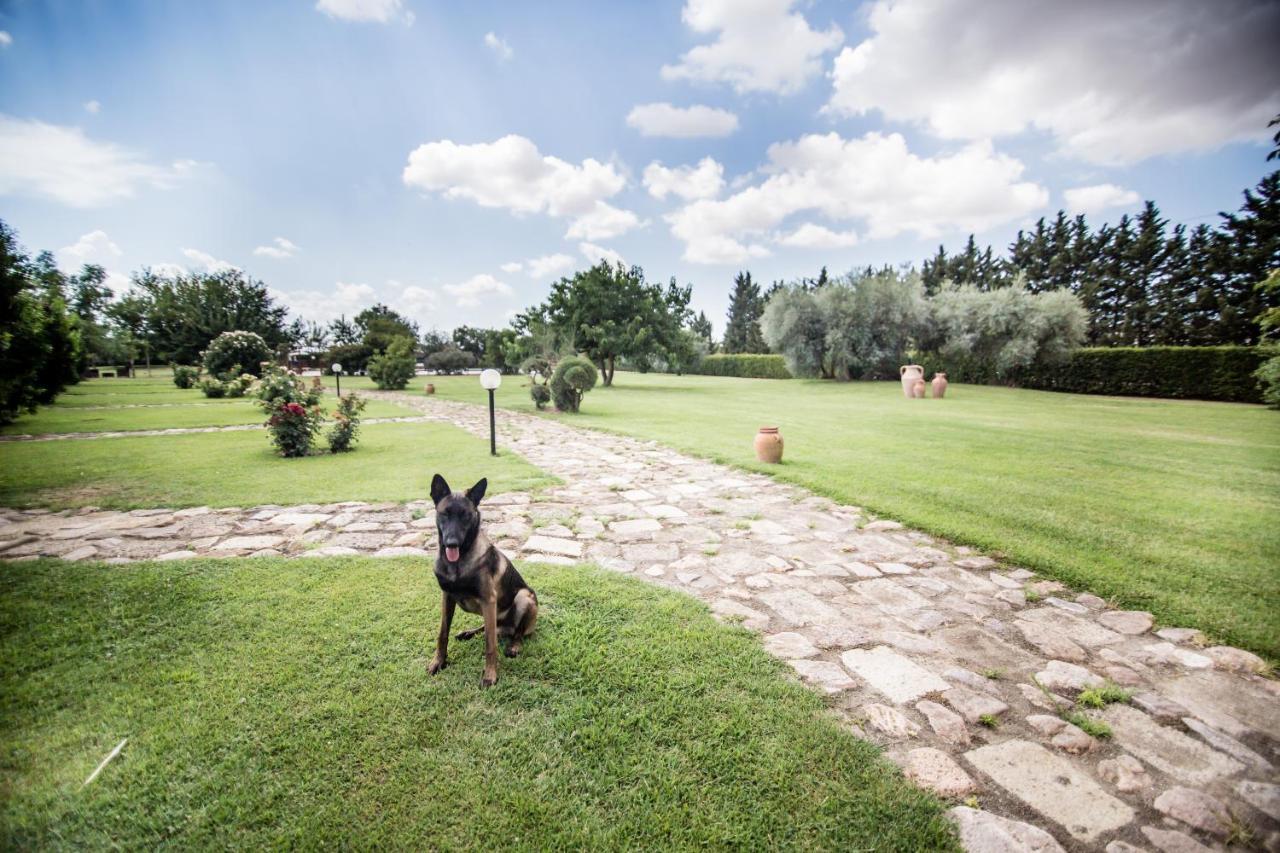 Agriturismo Le Giare Bagno Roselle Exterior foto